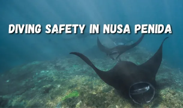 Diving safety in Nusa Penida